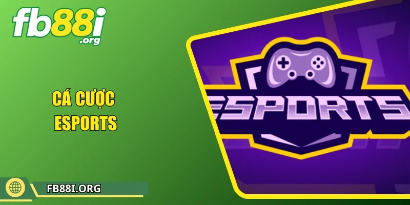 Cá Cược Esports