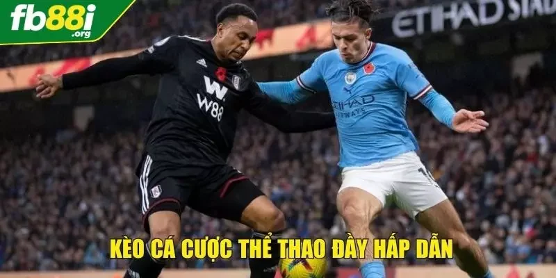 Những kèo cược thể thao hấp dẫn bậc nhất
